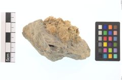 Foto von Gold Gediegen (NHMW-MIN-Aq657)